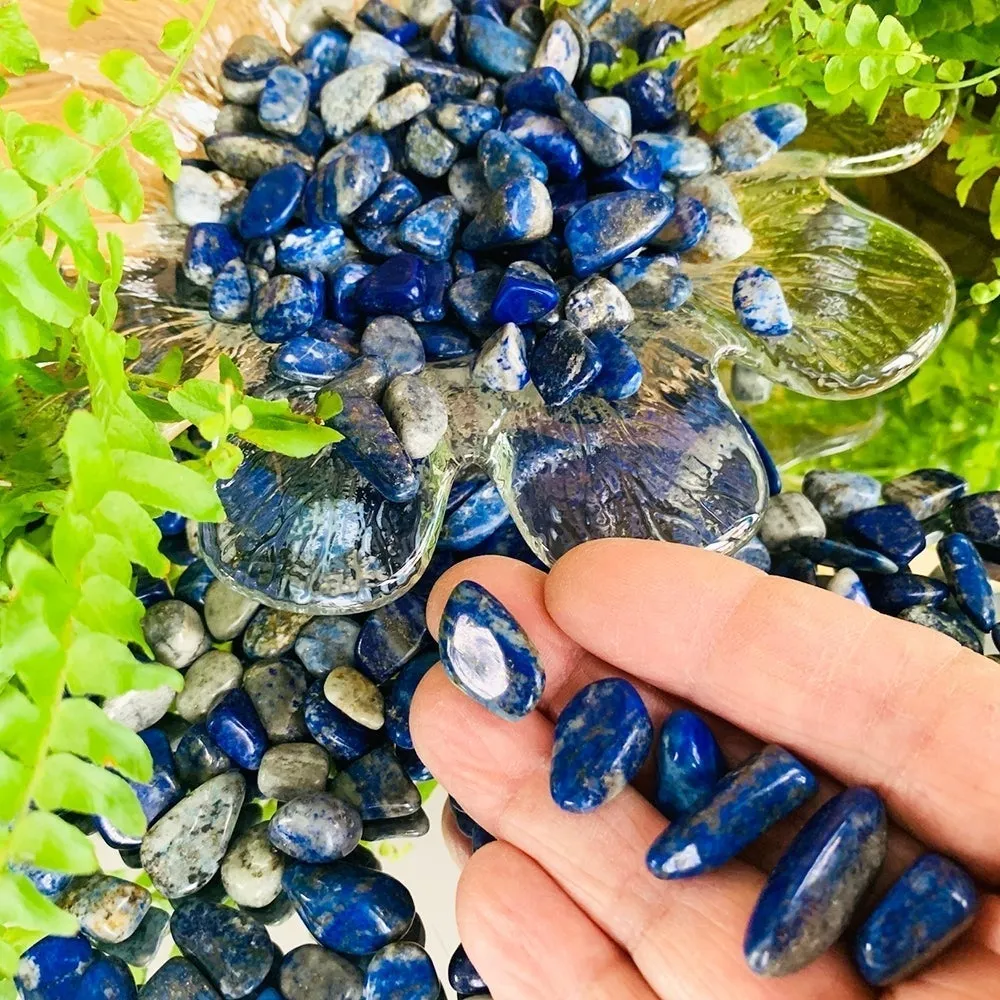 Lapis Lazuli Mini Gemstones (50 Gram / 1.7oz. Lot)